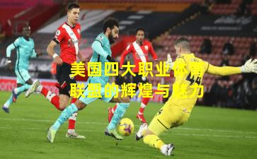 美国四大职业体育联盟的辉煌与魅力